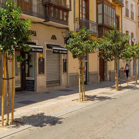 Apartment C103 - Sunny Terrace, Old Town Views Malaga